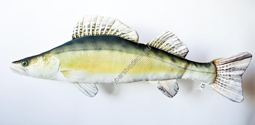 VANKÚŠ ZUBÁČ VEĽKOÚSTY
